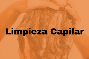 Limpieza Capilar